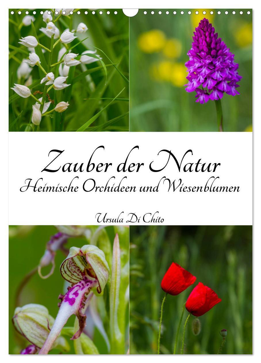 Cover: 9783383247927 | Zauber der Natur - Heimische Orchideen und Wiesenblumen...
