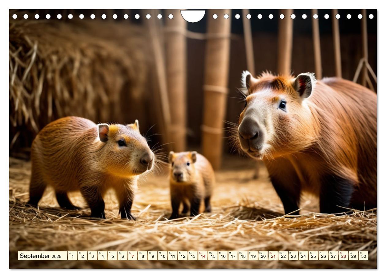 Bild: 9783457143759 | Capybaras - Wasserschweine die Herren der Gräser (Wandkalender 2025...