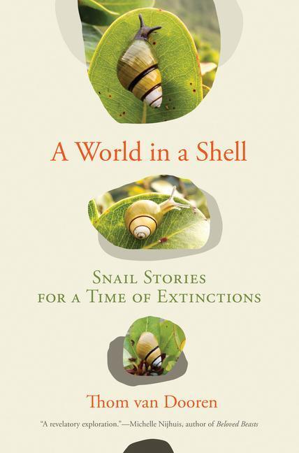 Cover: 9780262047029 | A World in a Shell: Snail Stories for a Time of Extinctions | Dooren