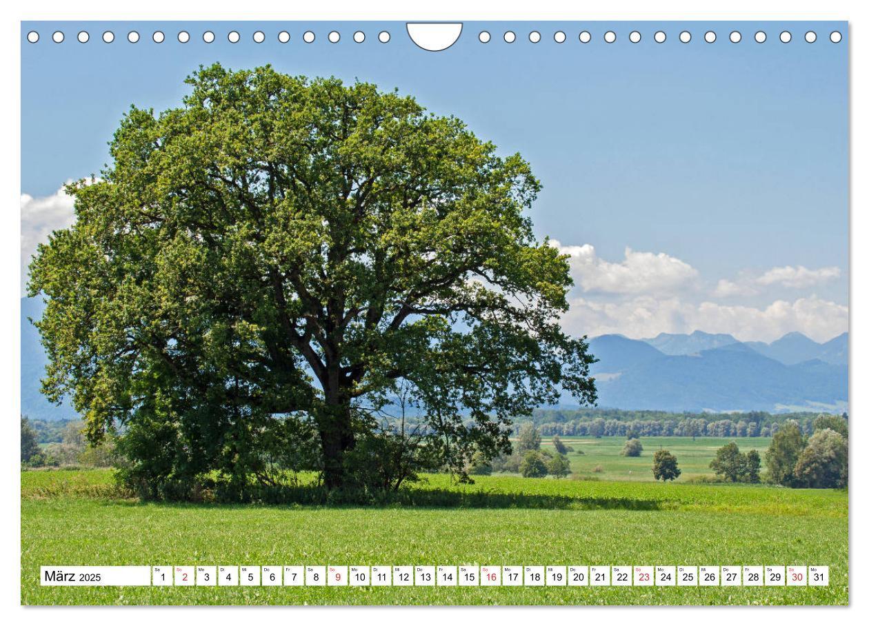 Bild: 9783435183081 | Chiemsee - Sommerferien am bayrischen Meer (Wandkalender 2025 DIN...