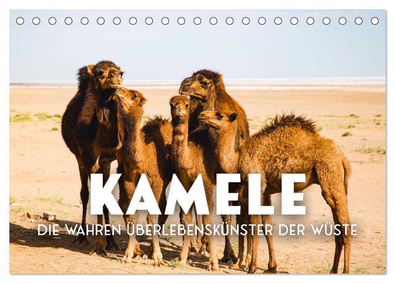 Cover: 9783675596443 | Kamele - die wahren Überlebenskünstler der Wüste. (Tischkalender...