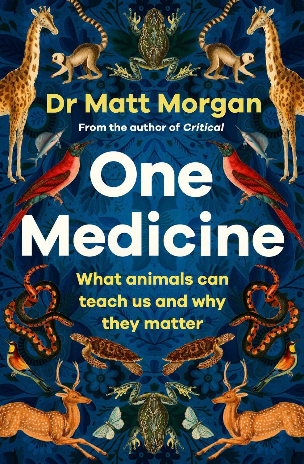 Cover: 9781471173103 | One Medicine | Matt Morgan | Taschenbuch | 288 S. | Englisch | 2024