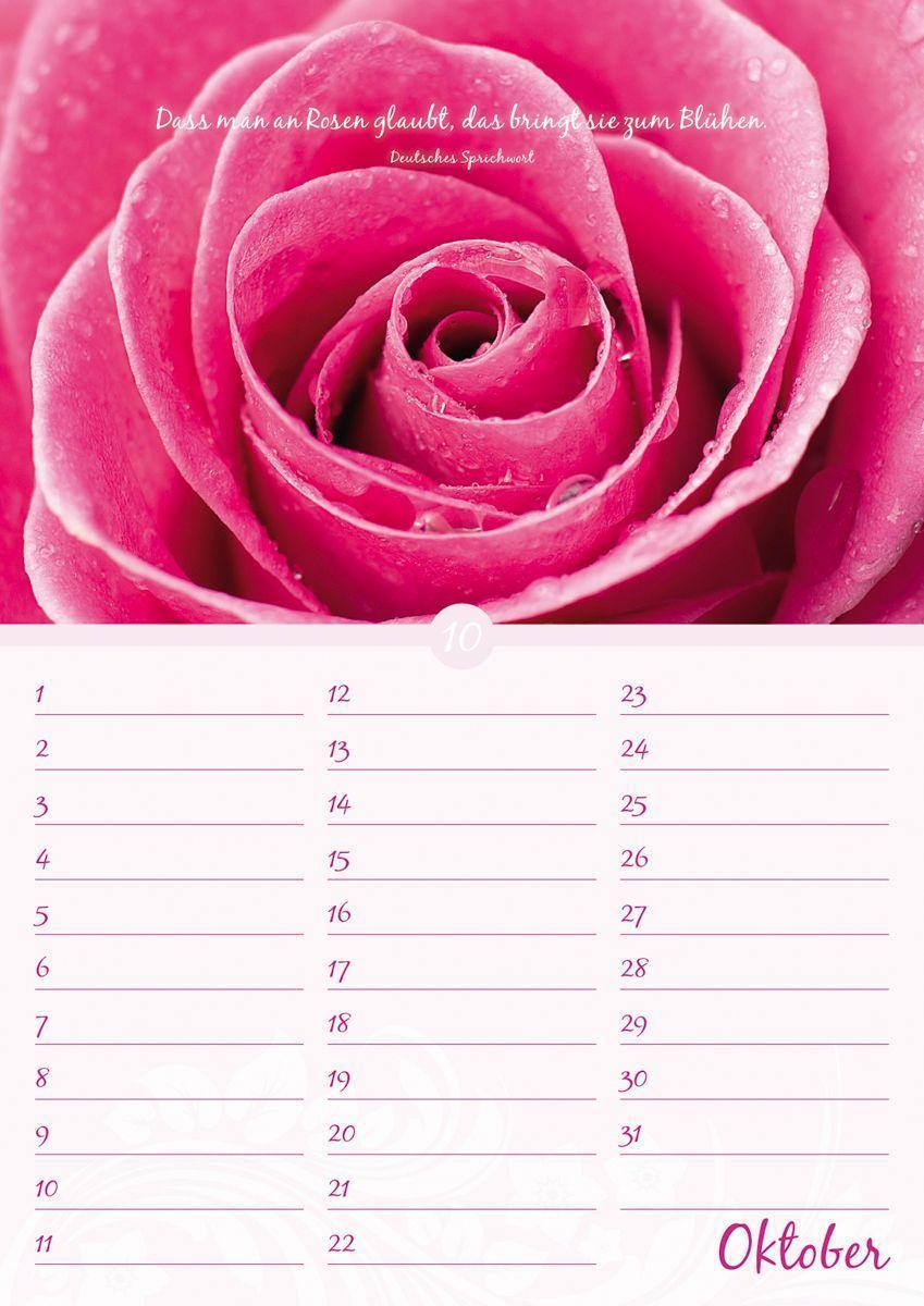 Bild: 9783840737176 | Geburtstagskalender Blütenpracht immerwährend | Kalender | 14 S.