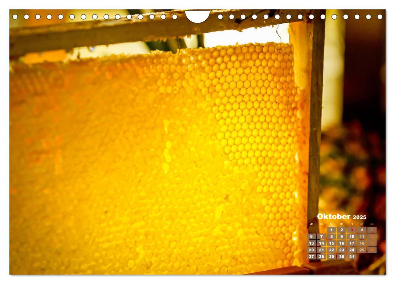 Bild: 9783435125142 | Ein Leben für den Honig - Bienen und Imker (Wandkalender 2025 DIN...