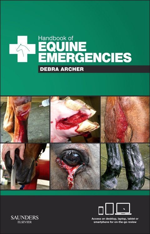 Cover: 9780702045455 | Handbook of Equine Emergencies | Debra Catherine Archer | Taschenbuch