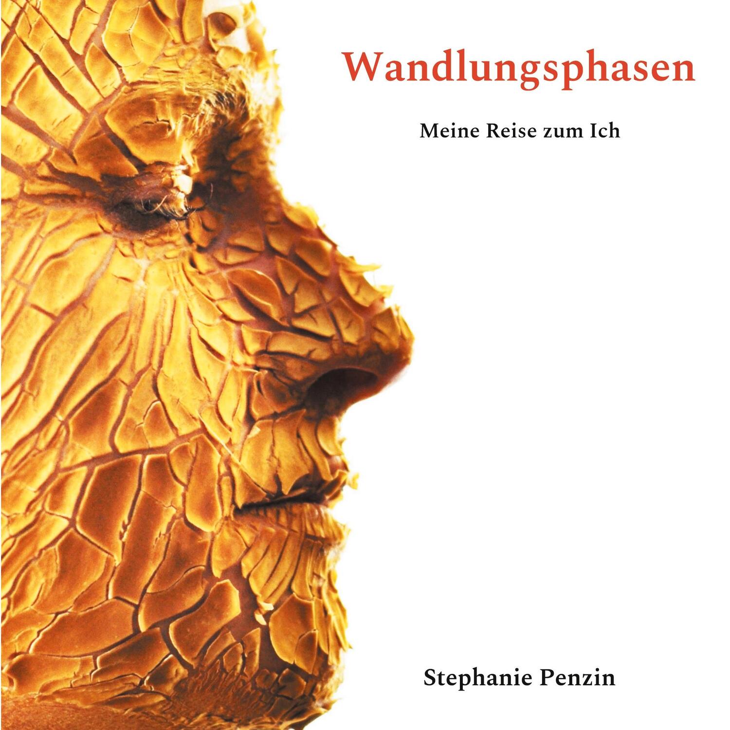 Cover: 9783754351246 | Wandlungsphasen | Meine Reise zum Ich | Stephanie Penzin | Taschenbuch