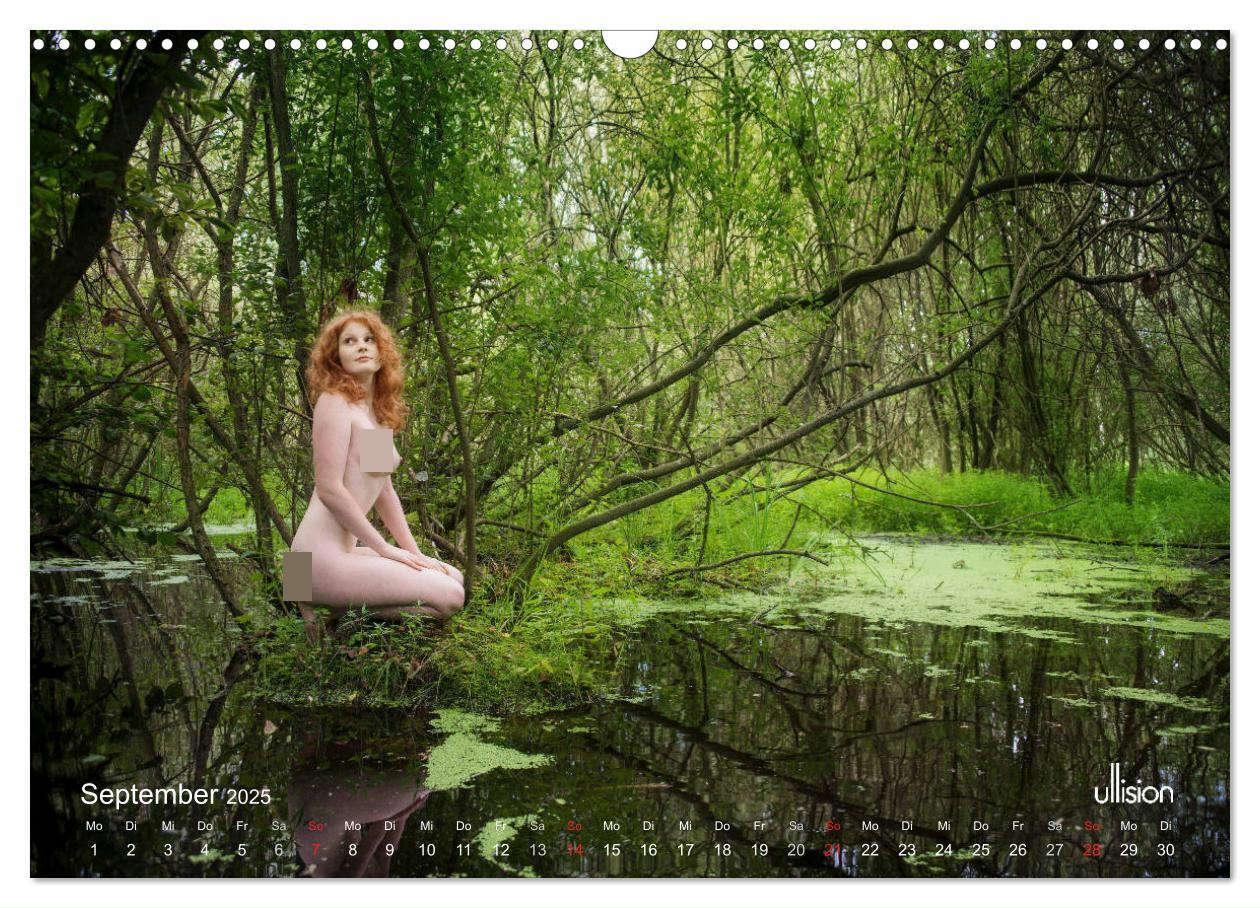 Bild: 9783435337491 | ZAUBERWALD Mystik der Natur (Wandkalender 2025 DIN A3 quer),...