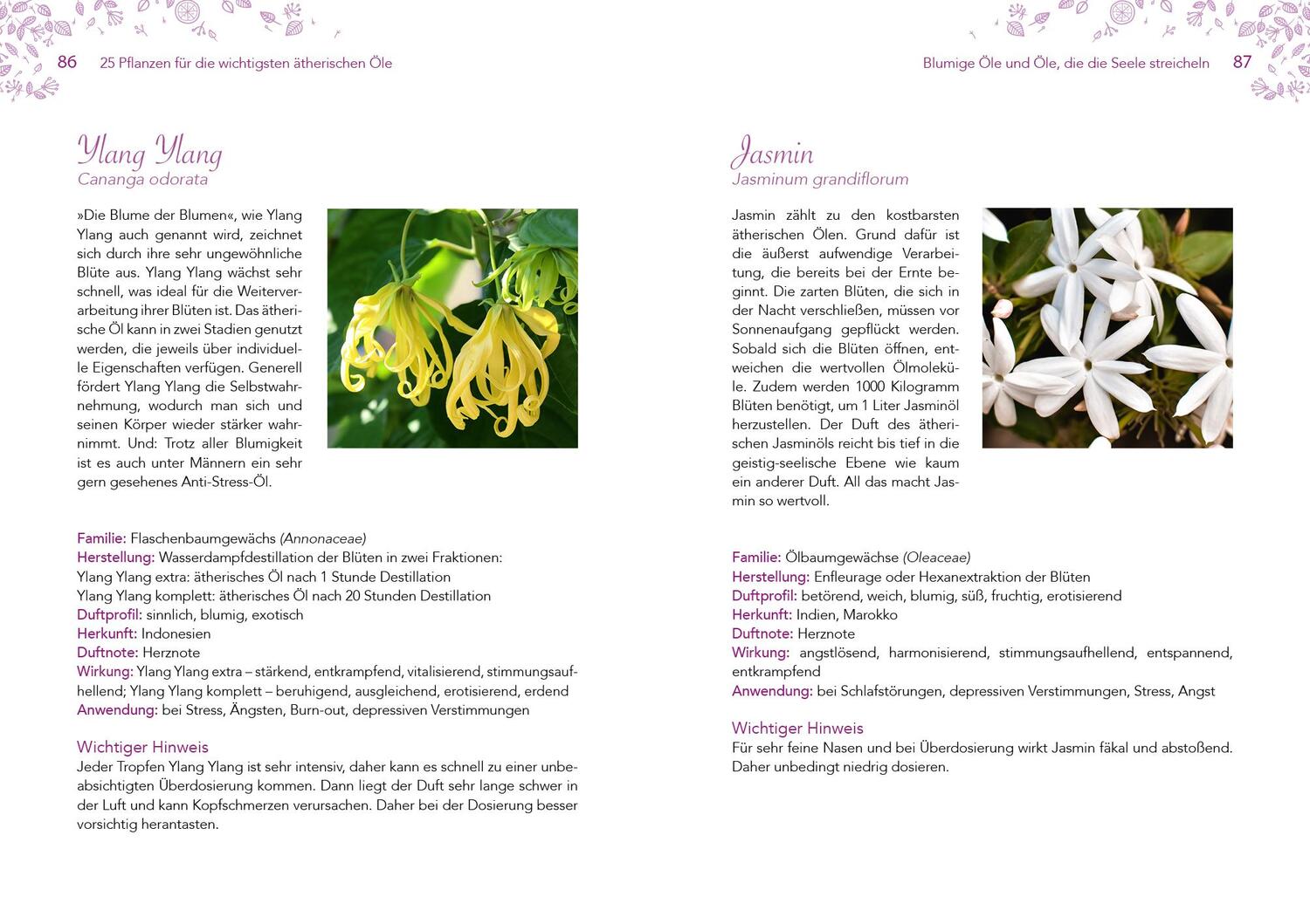 Bild: 9783742317308 | Leichter abnehmen mit Aromatherapie | Tuula Misfeld | Taschenbuch