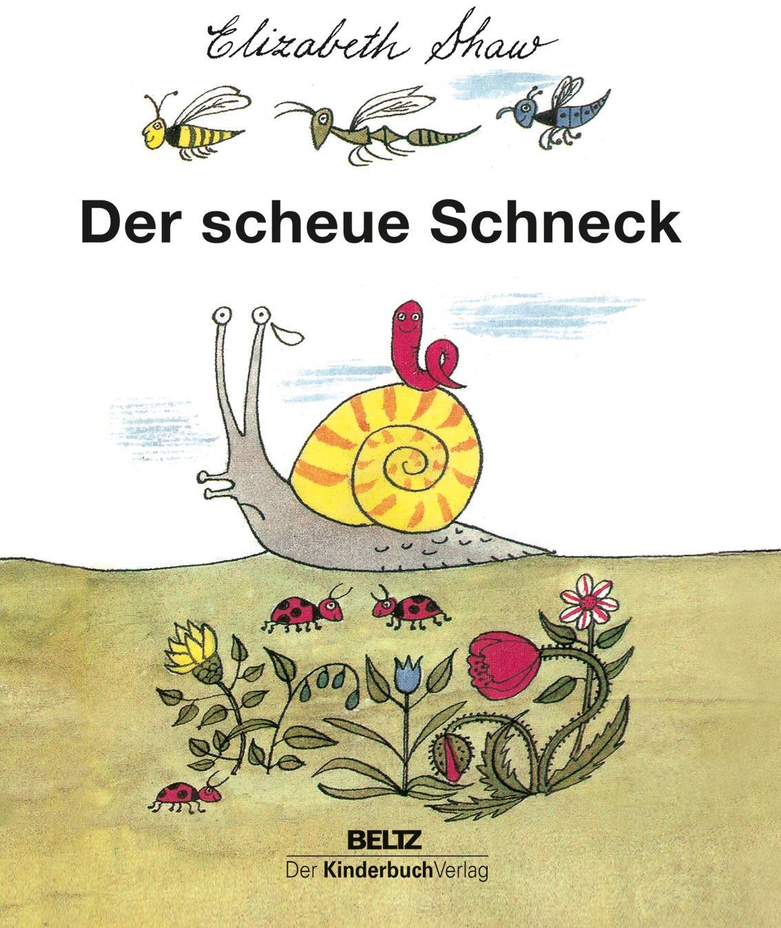 Cover: 9783407771902 | Der scheue Schneck | Elizabeth Shaw | Buch | Deutsch | 2015