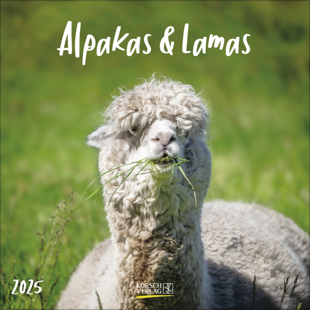 Cover: 9783731875581 | Alpakas und Lamas 2025 | Korsch Verlag | Kalender | Englisch Broschur