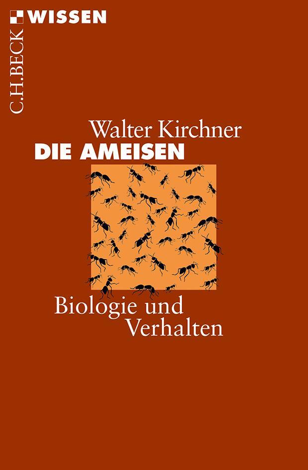 Cover: 9783406447525 | Die Ameisen | Biologie und Verhalten | Walter Kirchner | Taschenbuch
