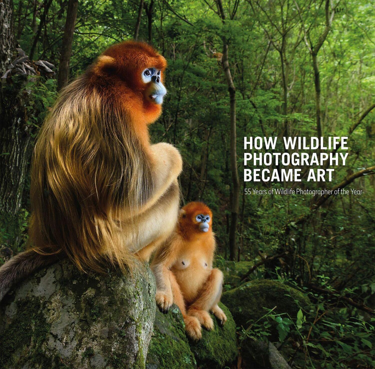 Cover: 9780565095130 | How Wildlife Photography Became Art: 55 Years of Wildlife...