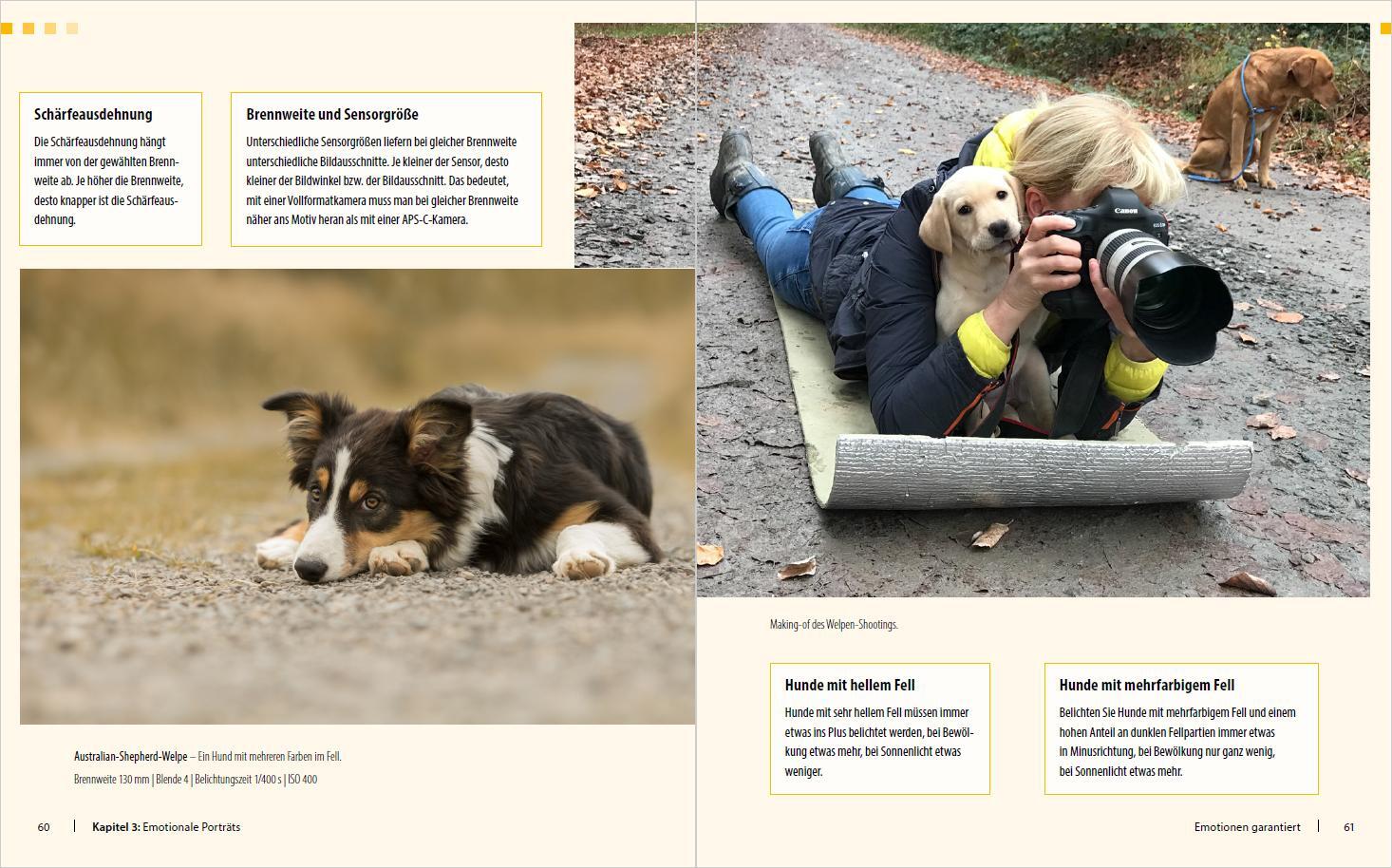 Bild: 9783832803490 | Hunde-Shooting - Fotografieren mit "Wau-Effekt" | Regine Heuser | Buch