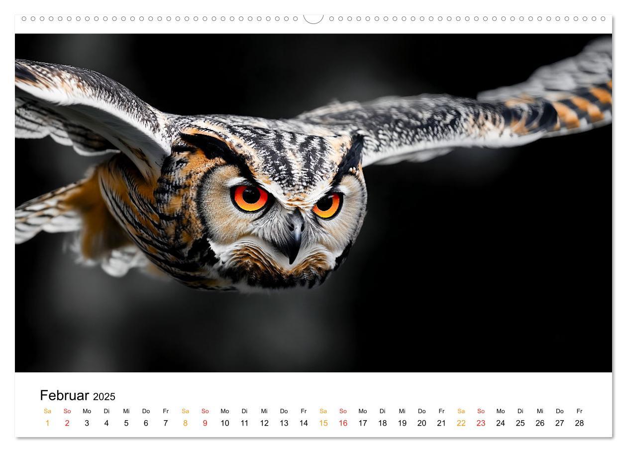 Bild: 9783457232729 | Im Reich der Eulen (Wandkalender 2025 DIN A2 quer), CALVENDO...