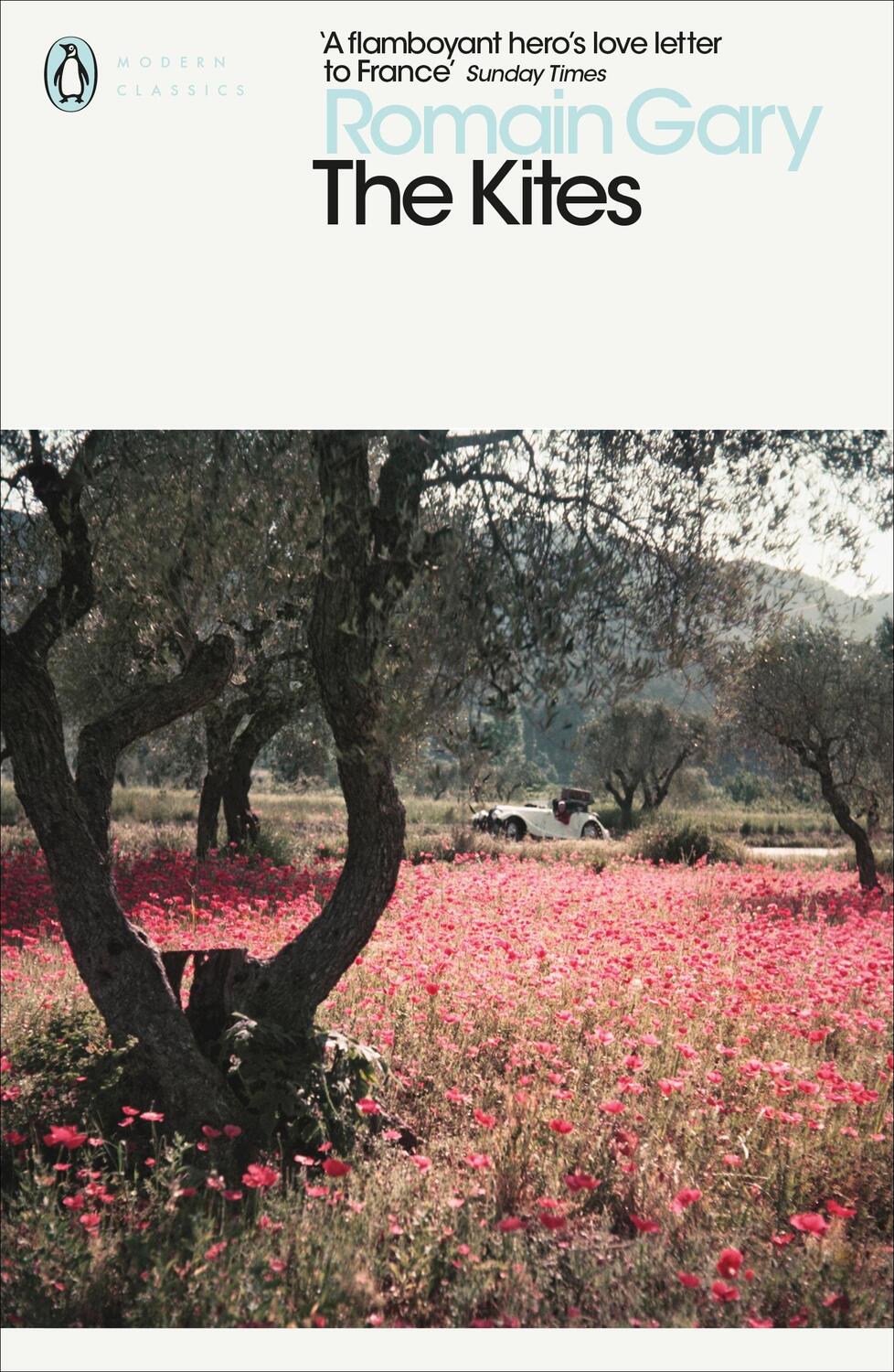 Cover: 9780241345627 | The Kites | Romain Gary | Taschenbuch | Kartoniert / Broschiert | 2019
