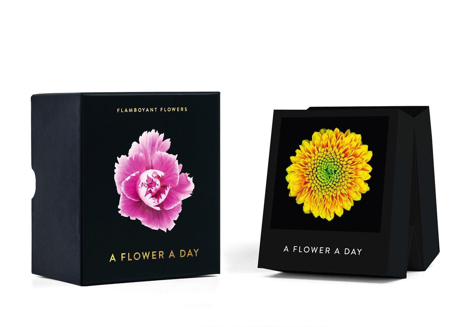 Bild: 9783946688839 | Flamboyant Flowers | A Flower A Day | Kalender | 370 S. | Englisch
