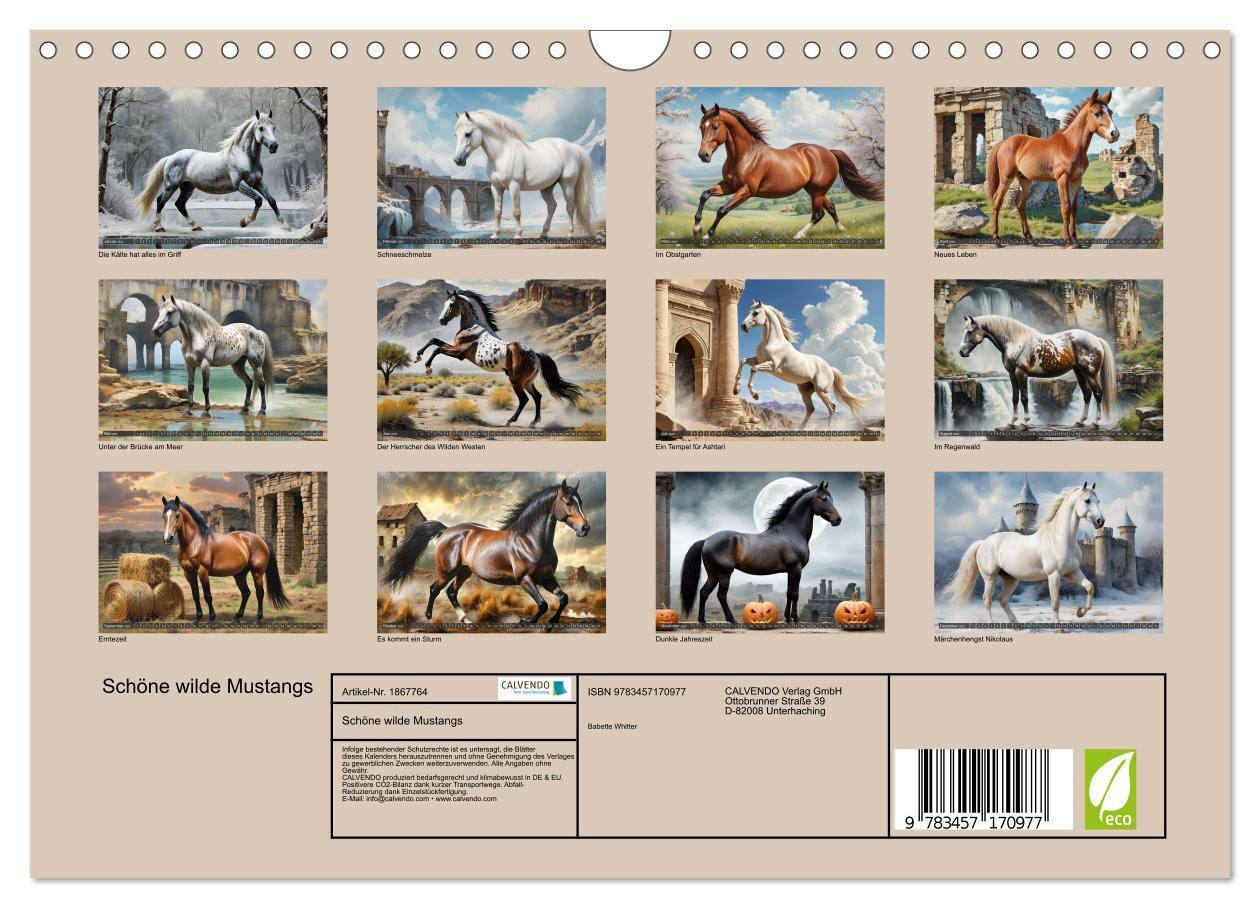 Bild: 9783457170977 | Schöne wilde Mustangs (Wandkalender 2025 DIN A4 quer), CALVENDO...