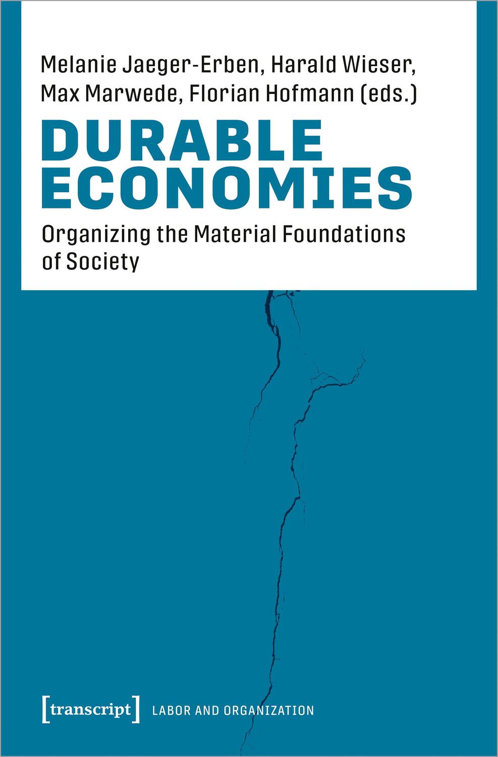 Cover: 9783837663969 | Durable Economies | Organizing the Material Foundations of Society