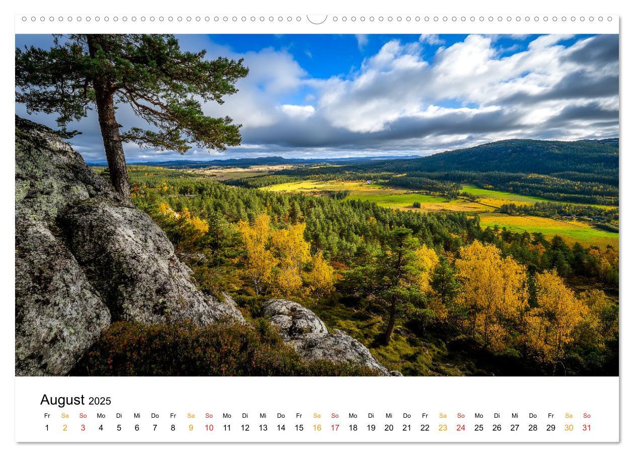 Bild: 9783457224816 | Mystik der Wälder (hochwertiger Premium Wandkalender 2025 DIN A2...