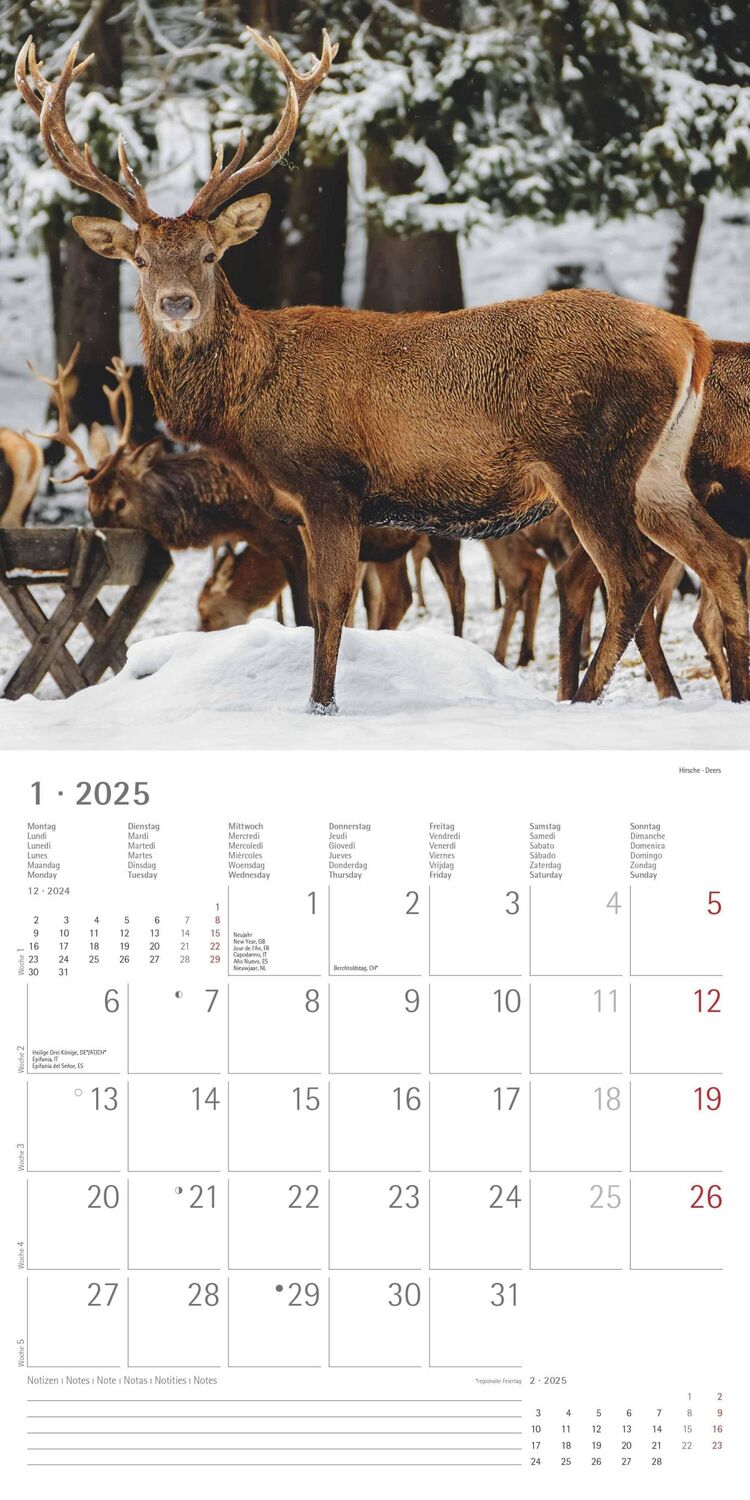 Bild: 4251732340803 | Wald und Flur 2025 - Broschürenkalender 30x30 cm (30x60 geöffnet) -...