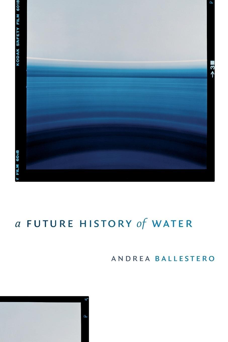 Cover: 9781478003892 | A Future History of Water | Andrea Ballestero | Taschenbuch | Englisch