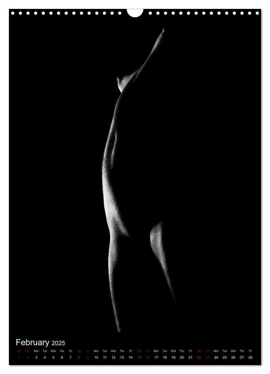 Bild: 9781325972951 | erotic shadows 2025 (Wall Calendar 2025 DIN A3 portrait), CALVENDO...