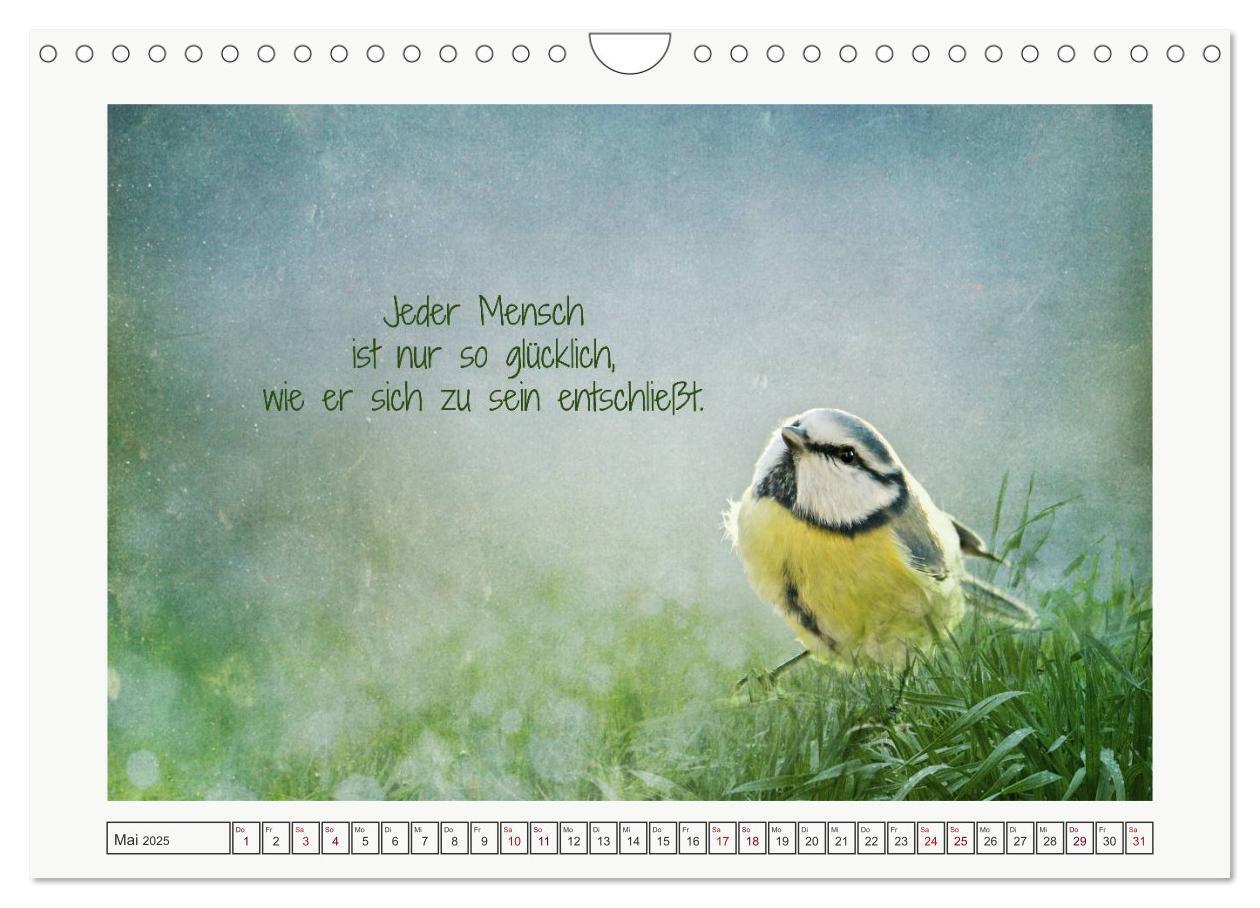 Bild: 9783435724468 | Irische Segenswünsche (Wandkalender 2025 DIN A4 quer), CALVENDO...