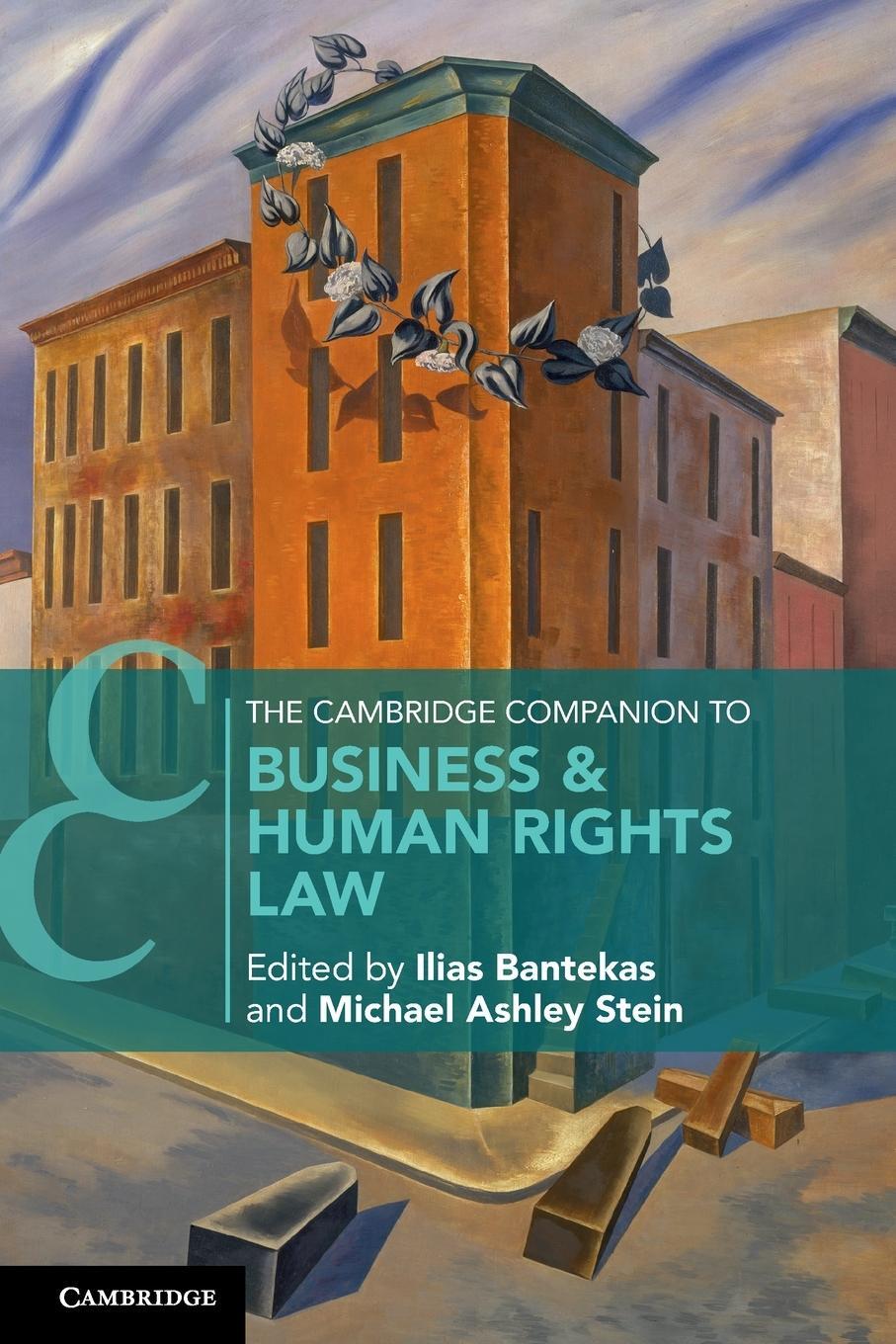 Cover: 9781108820721 | The Cambridge Companion to Business & Human Rights Law | Stein | Buch