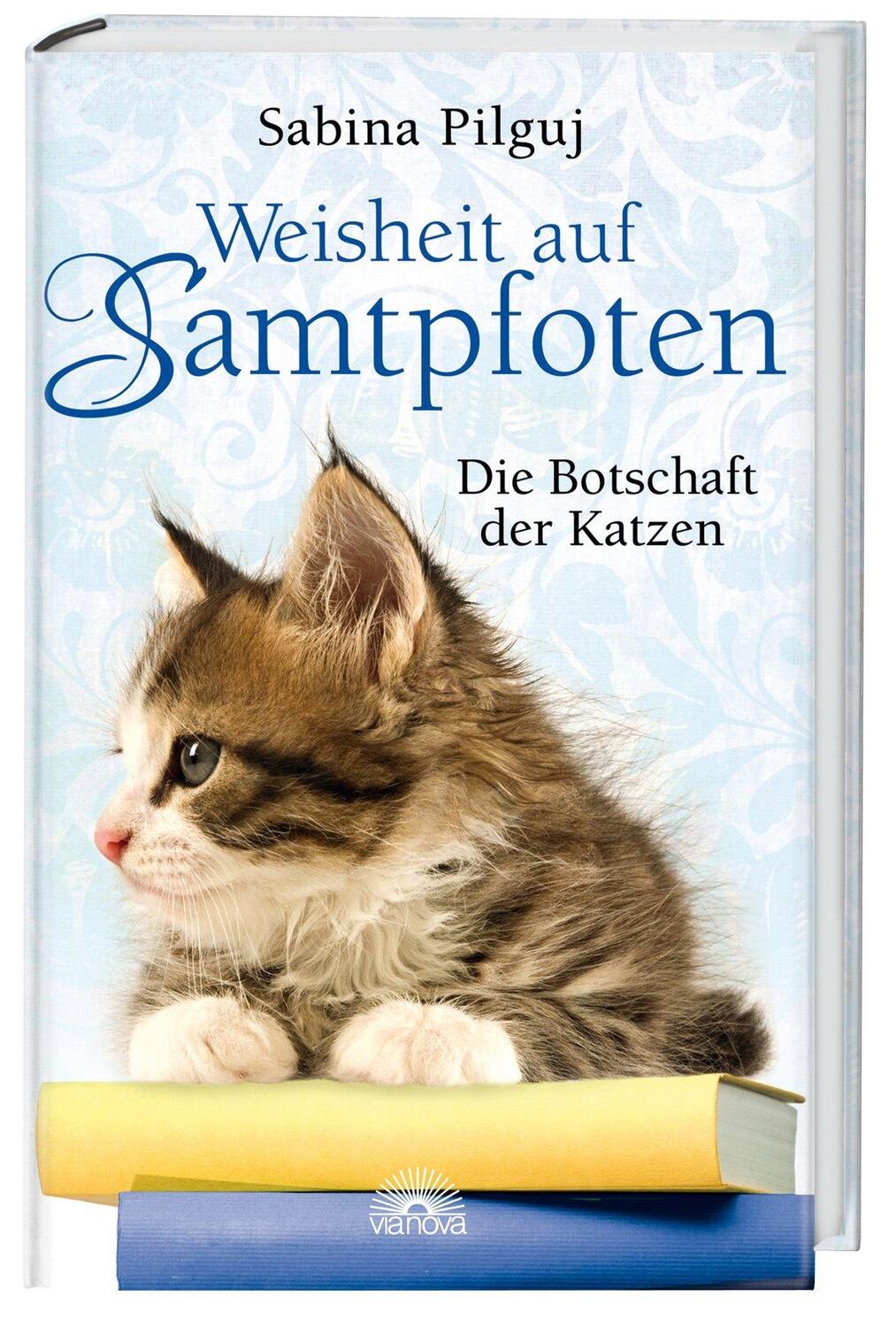 Cover: 9783866161313 | Weisheit auf Samtpfoten | Die Botschaft der Katzen | Sabina Pilguj