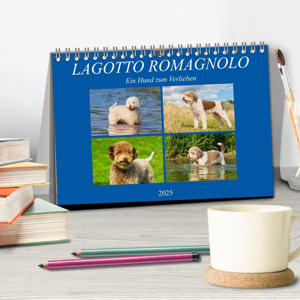 Bild: 9783435311484 | Lagotto Romagnolo - Ein Hund zum Verlieben (Tischkalender 2025 DIN...