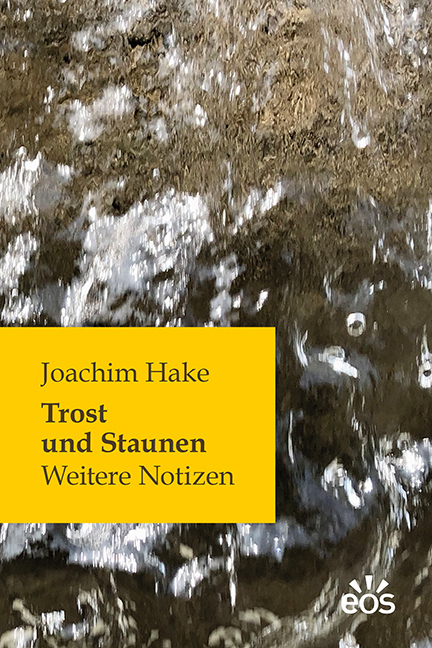 Cover: 9783830680291 | Trost und Staunen | Weitere Notizen | Joachim Hake | Buch | 224 S.