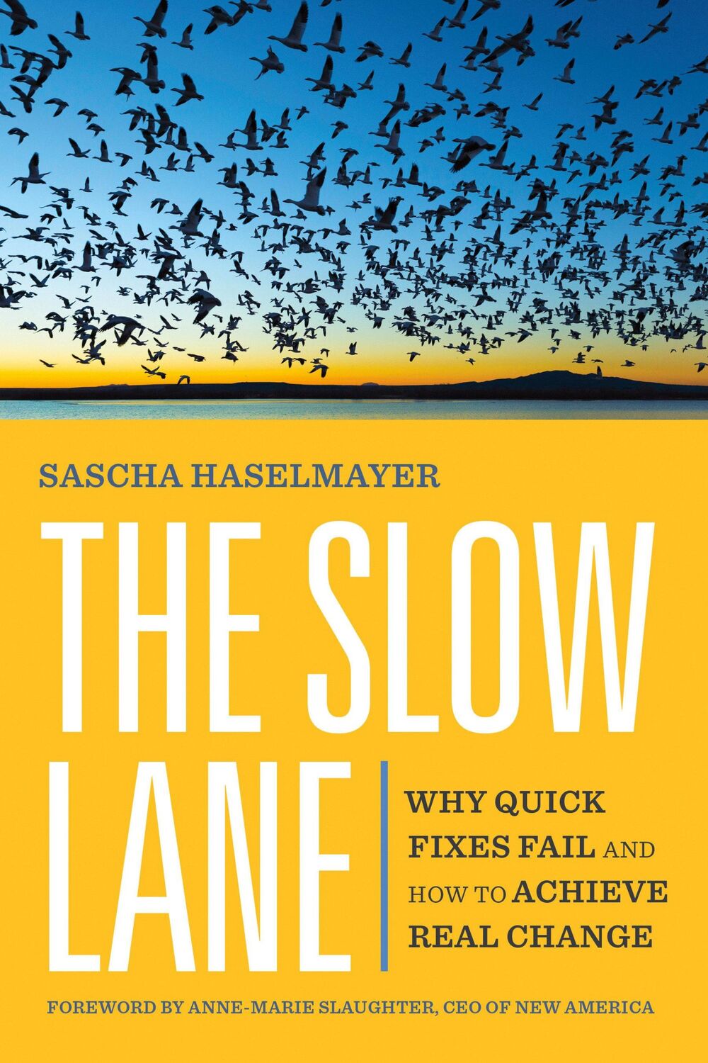 Cover: 9781523004584 | The Slow Lane | Why Quick Fixes Fail and How to Achieve Real Change