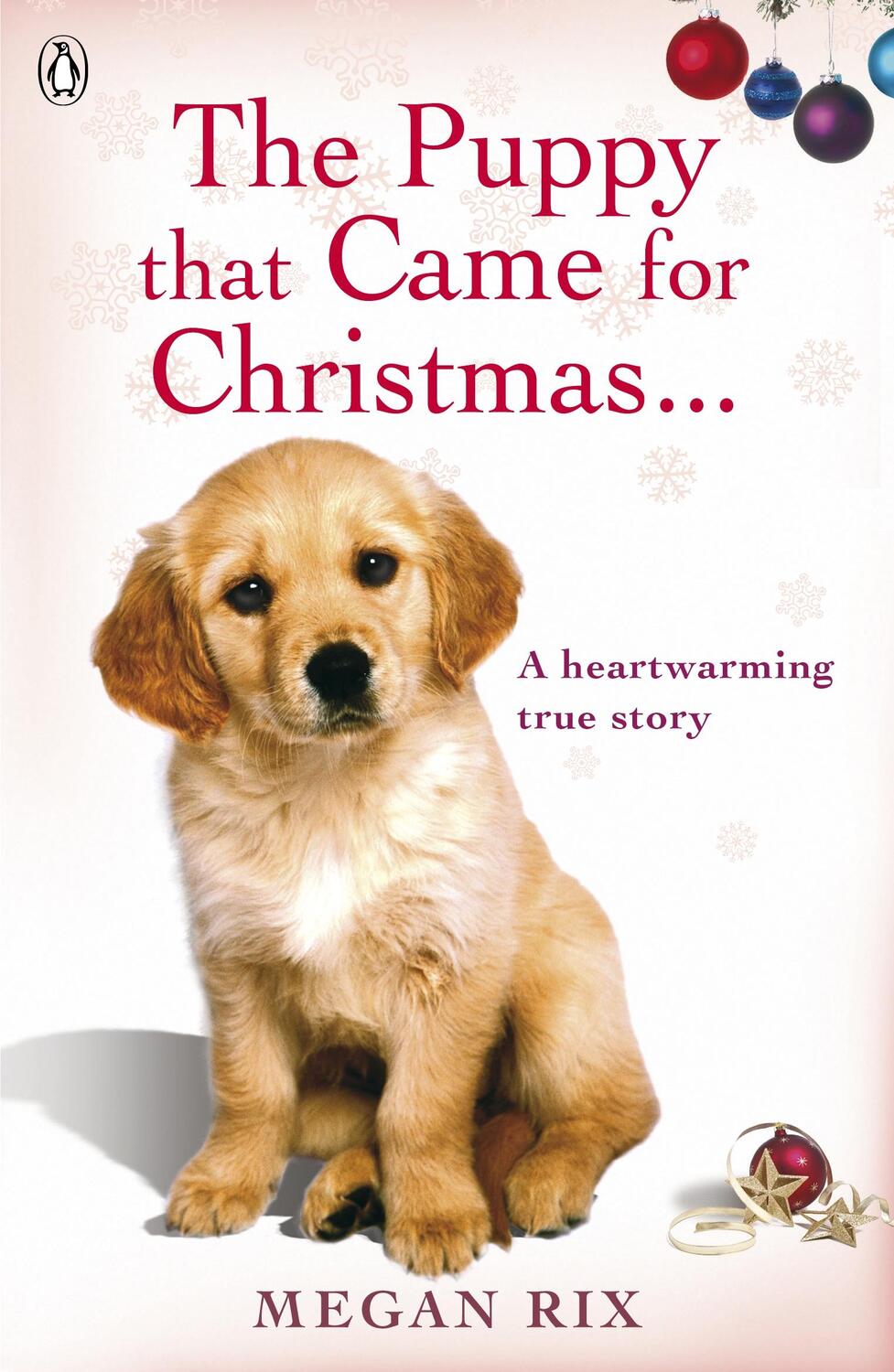 Cover: 9780241951064 | The Puppy that Came for Christmas and Stayed Forever | Megan Rix