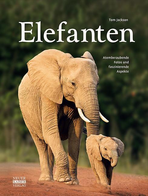 Cover: 9783846830048 | Elefanten | Atemberaubende Fotos und faszinierende Aspekte | Jackson
