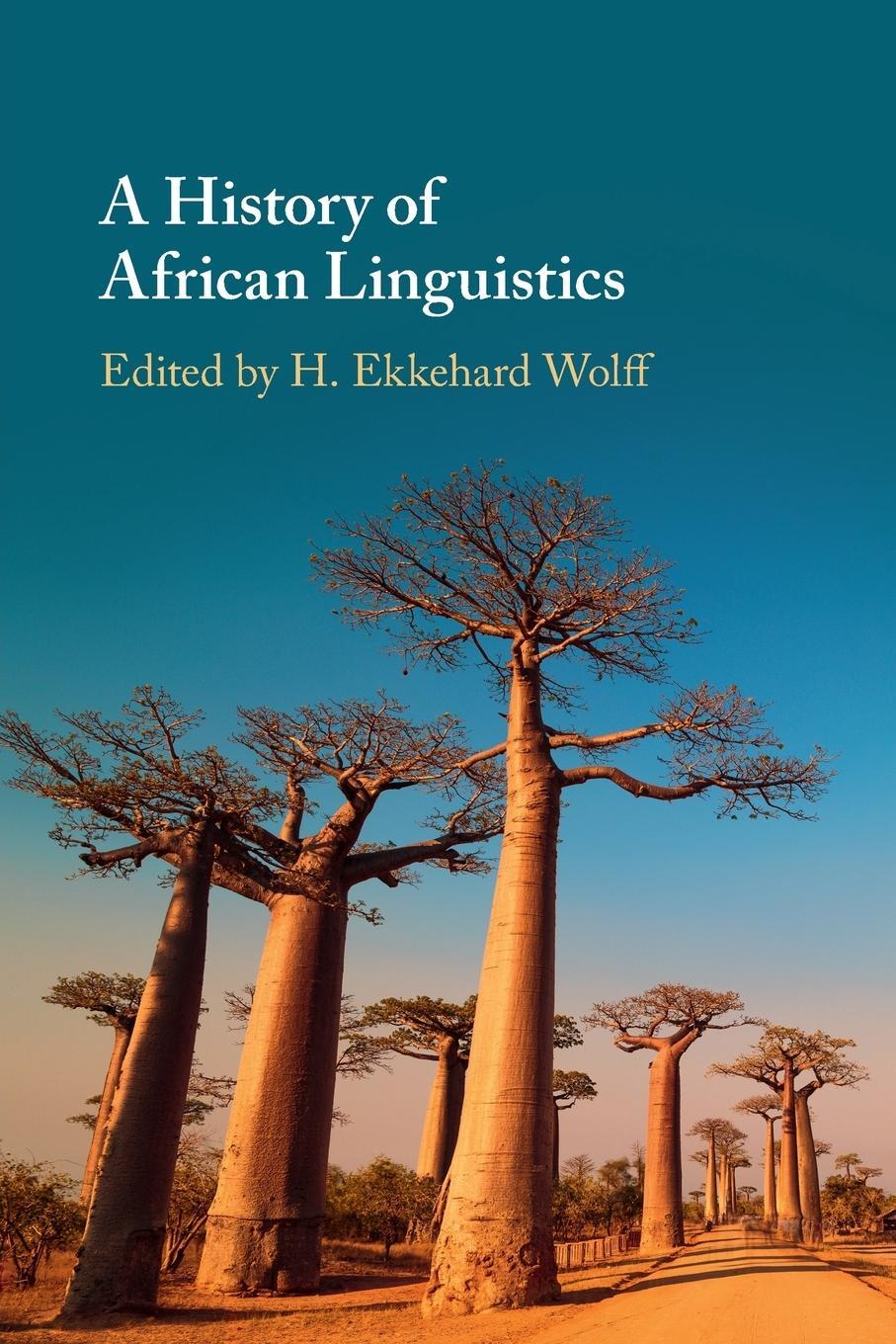 Cover: 9781108406178 | A History of African Linguistics | H. Ekkehard Wolff | Taschenbuch