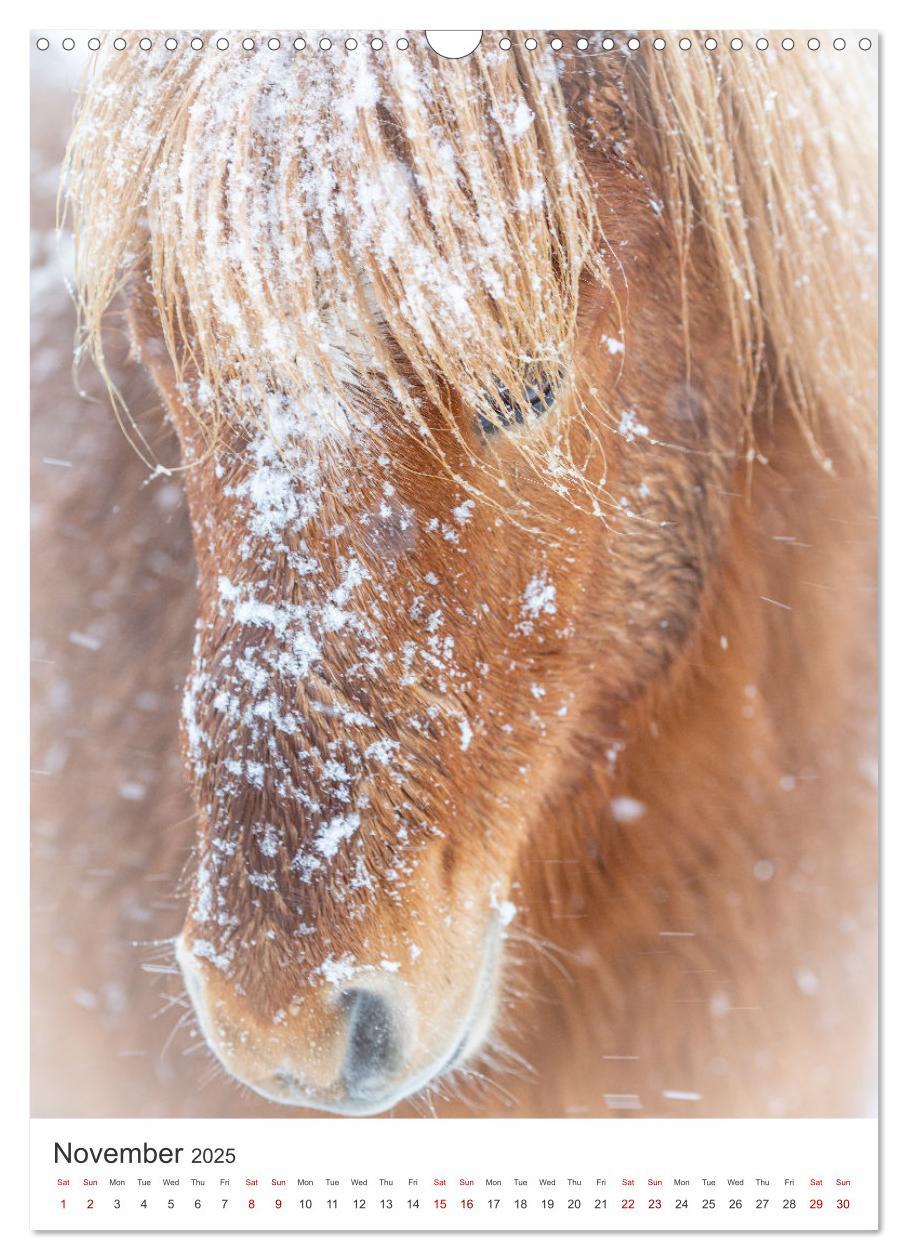 Bild: 9781325997534 | Magic of Iceland - nature photography (Wall Calendar 2025 DIN A3...