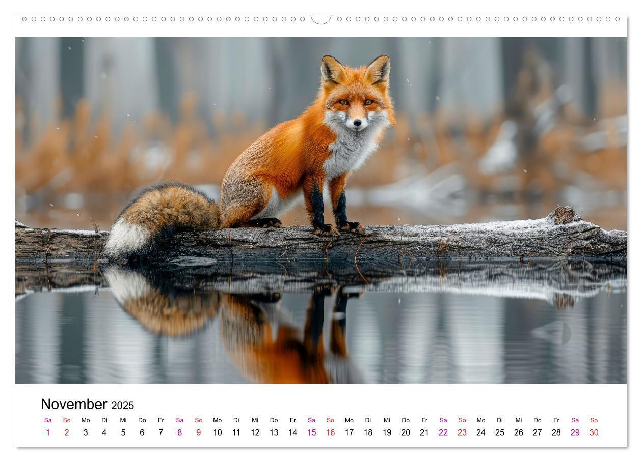 Bild: 9783383815225 | Fuchs - schöne Momente (Wandkalender 2025 DIN A2 quer), CALVENDO...