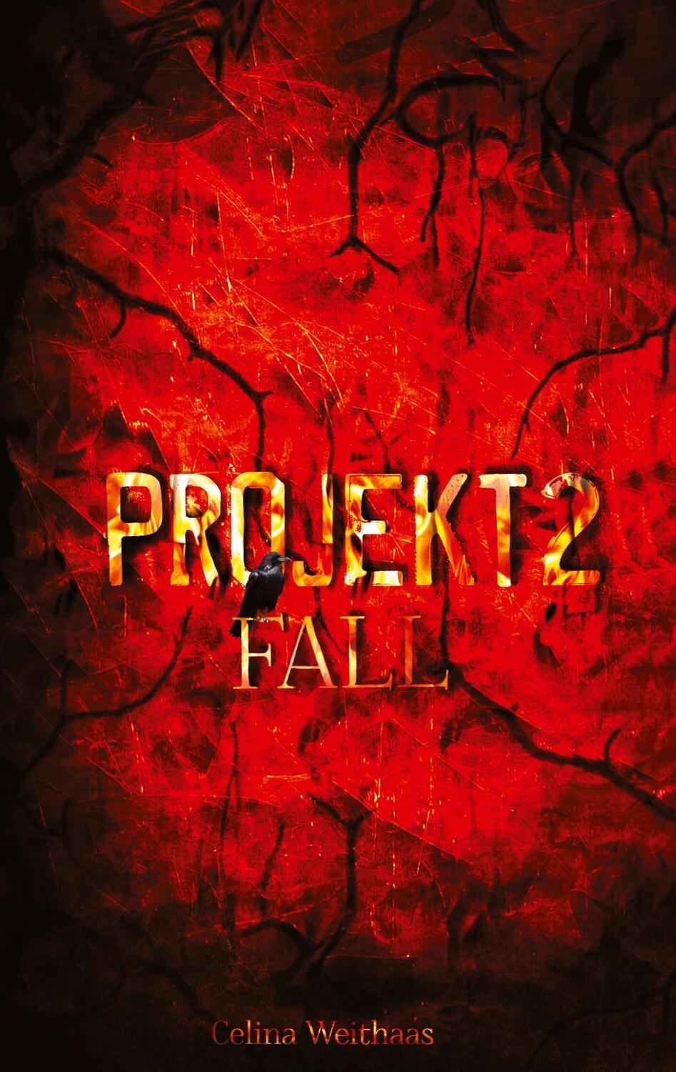 Cover: 9783347400115 | Fall - Projekt II | Celina Weithaas | Taschenbuch | Paperback | 500 S.