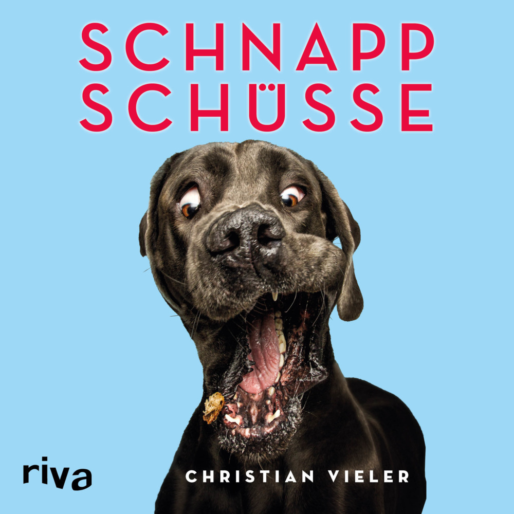 Cover: 9783742302489 | Schnappschüsse | Christian Vieler | Buch | 144 S. | Deutsch | 2017