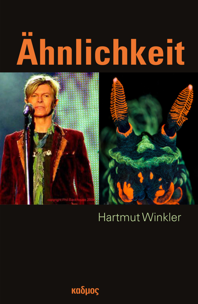 Cover: 9783865994905 | Ähnlichkeit | Hartmut Winkler | Buch | Deutsch | 2021