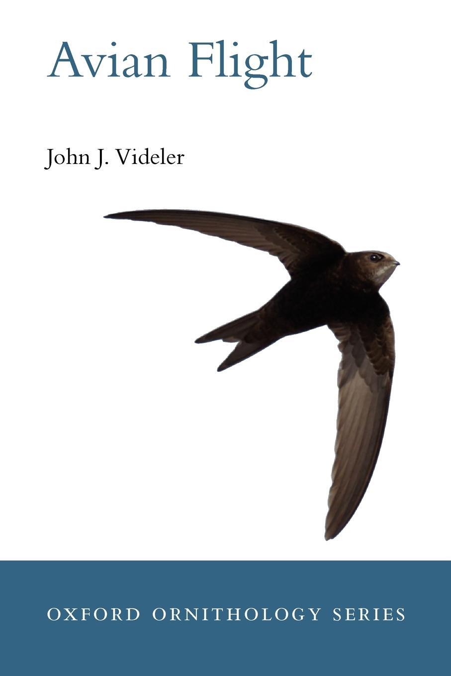 Cover: 9780199299928 | Avian Flight | John J. Videler | Taschenbuch | Paperback | Englisch