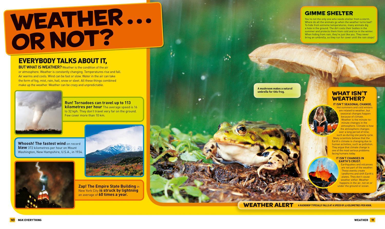 Bild: 9780008267766 | Everything: Weather | National Geographic Kids | Taschenbuch | 2018
