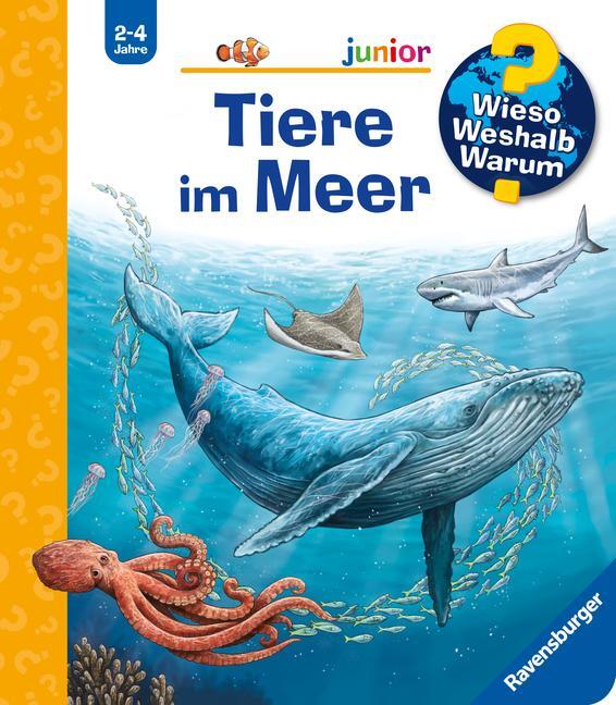 Cover: 9783473600540 | Wieso? Weshalb? Warum? junior, Band 57: Tiere im Meer | Anita van Saan