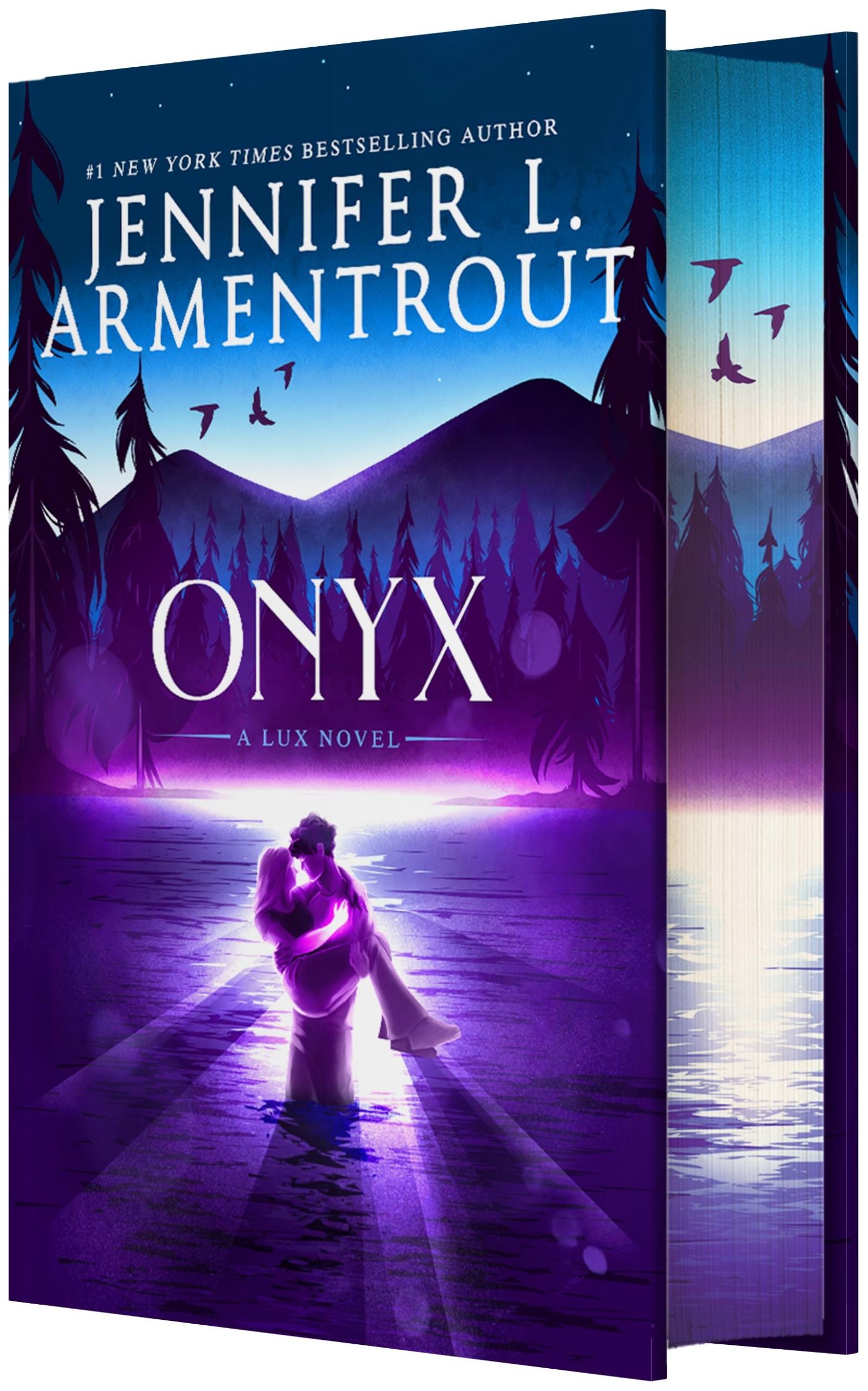 Cover: 9781649376121 | Onyx | Jennifer L Armentrout | Buch | Englisch | 2024