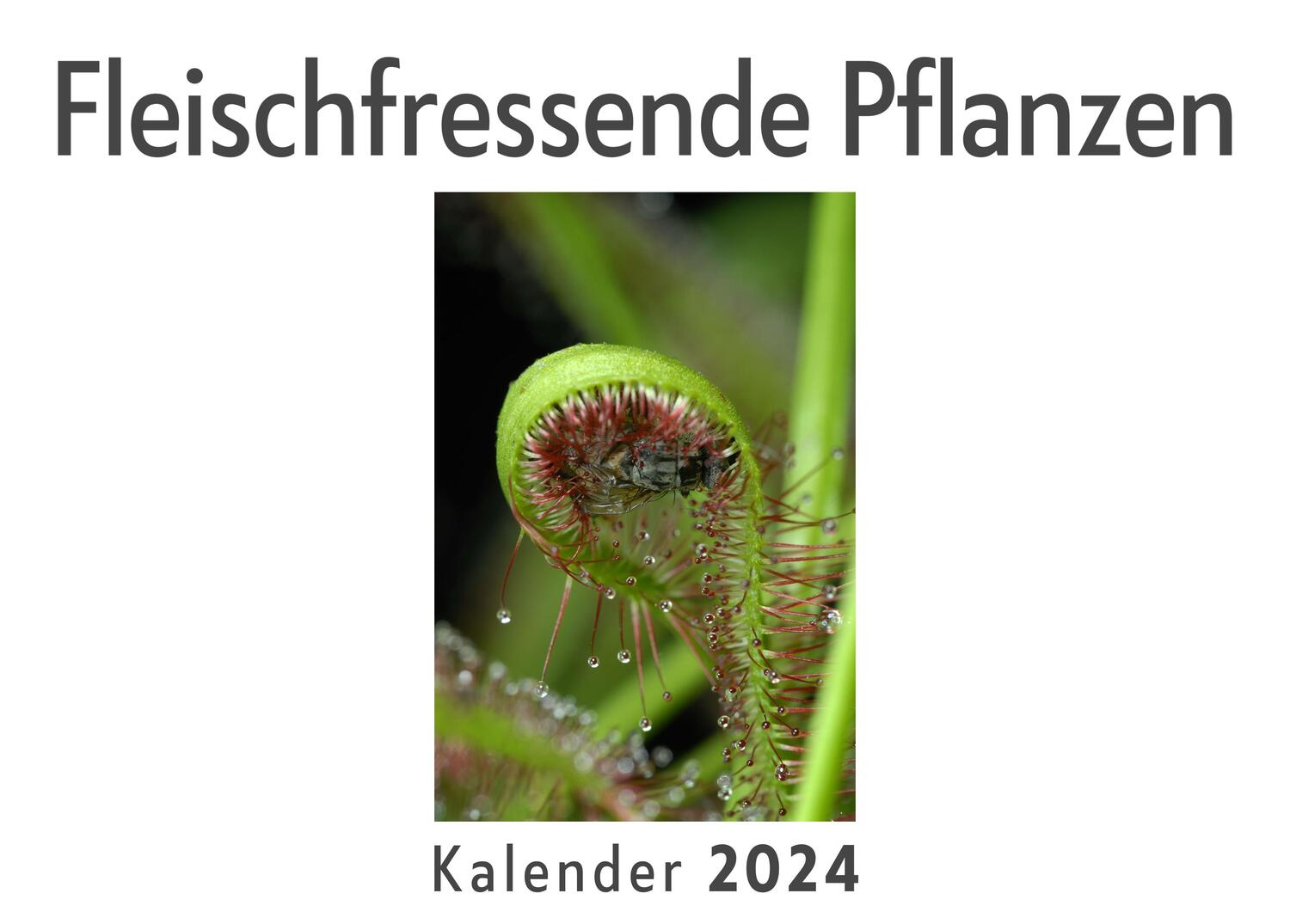 Cover: 9783750552548 | Fleischfressende Pflanzen (Wandkalender 2024, Kalender DIN A4 quer,...