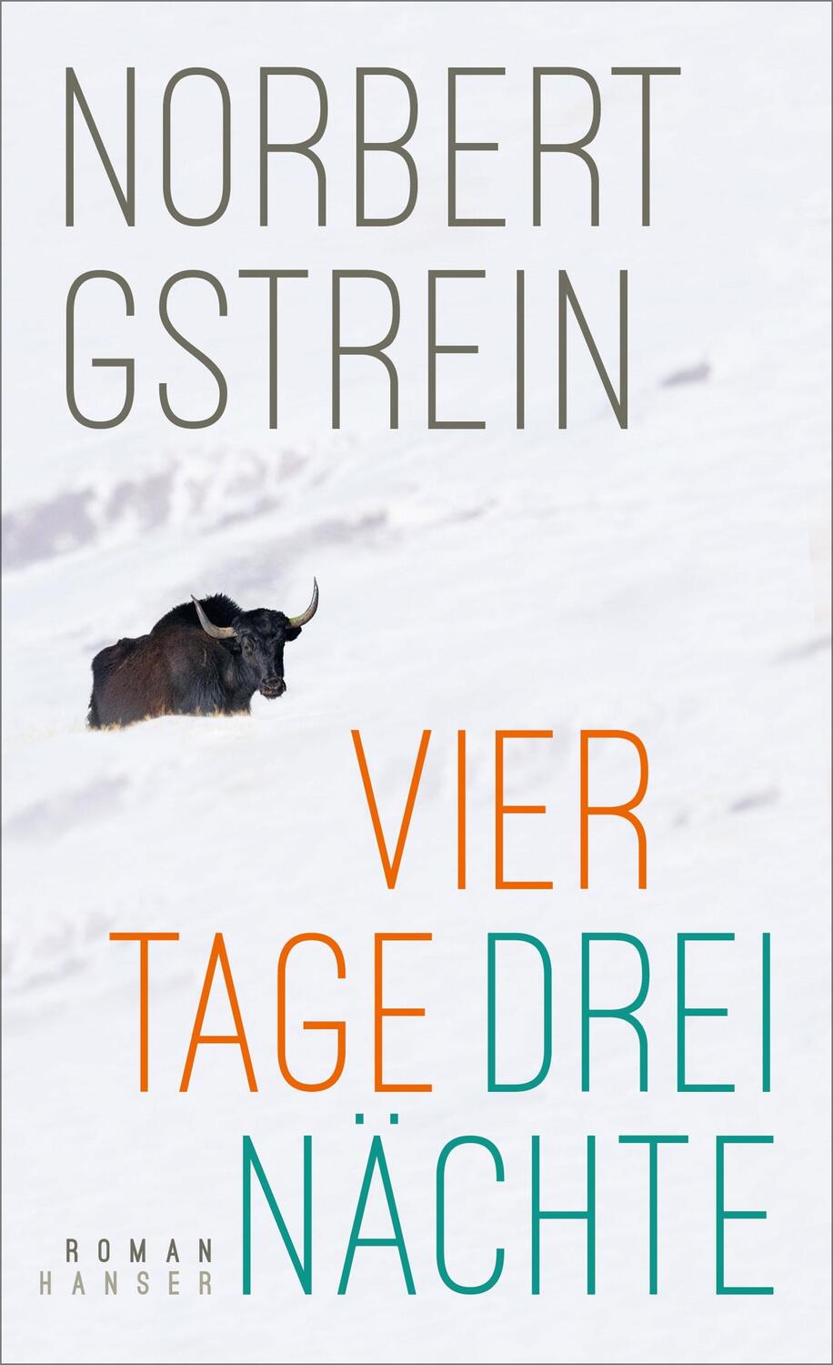 Cover: 9783446273986 | Vier Tage, drei Nächte | Roman | Norbert Gstrein | Buch | Deutsch