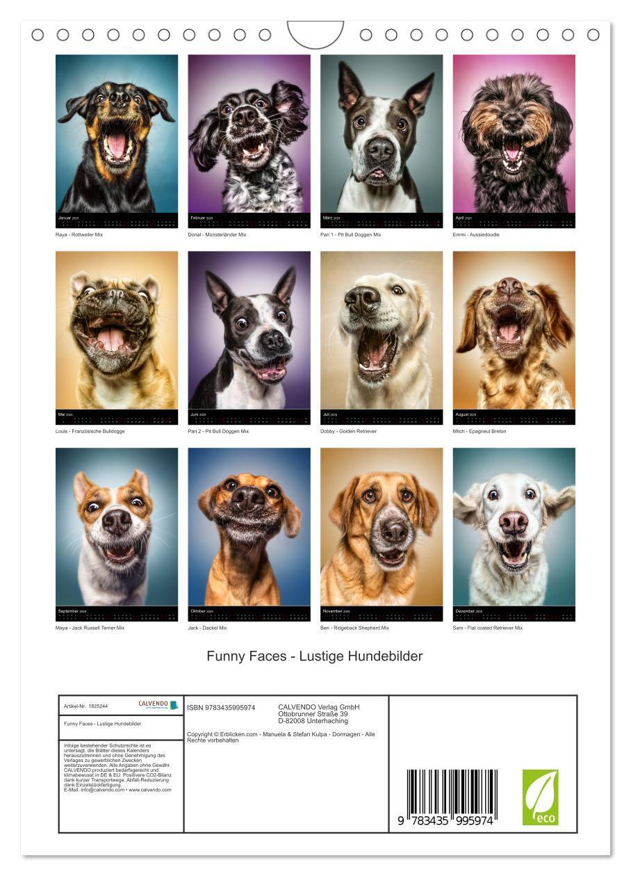 Bild: 9783435995974 | Funny Faces - Lustige Hundebilder (Wandkalender 2025 DIN A4 hoch),...