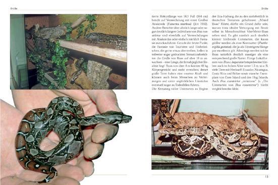 Bild: 9783931587574 | Boa constrictor | Stefan Binder | Taschenbuch | Terrarien Bibliothek