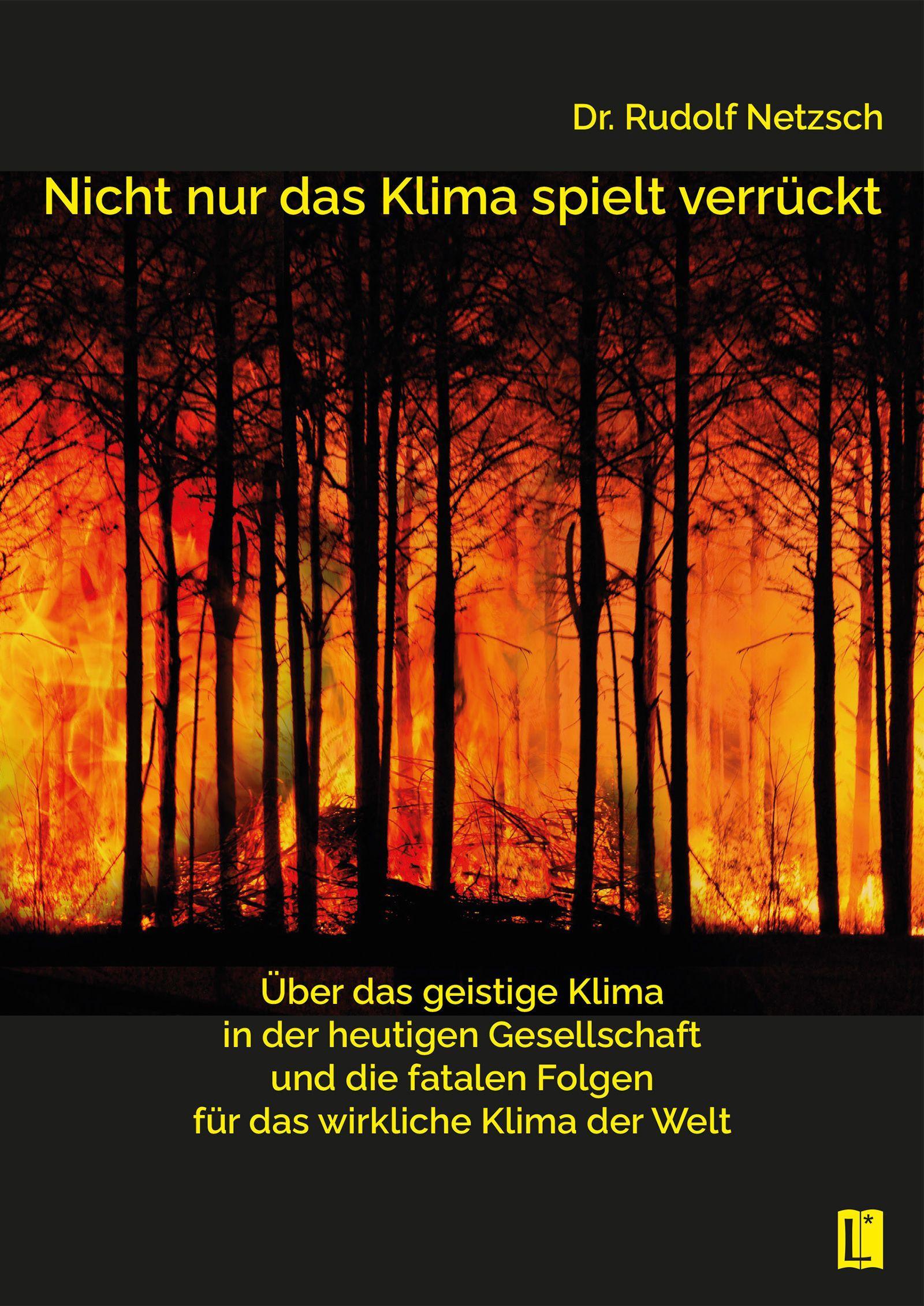 Cover: 9783831624201 | Nicht nur das Klima spielt verrückt - über das geistige Klima in...