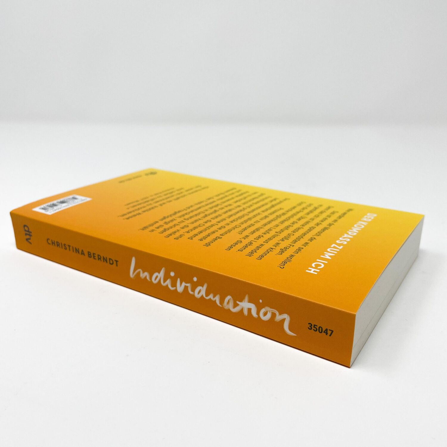 Bild: 9783423350471 | Individuation | Christina Berndt | Taschenbuch | 272 S. | Deutsch